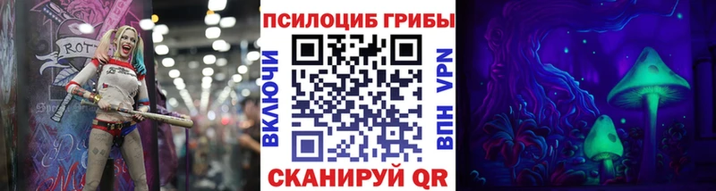 Галлюциногенные грибы Psilocybine cubensis  Ростов 